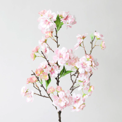 Baby Cherry Blossom Branch